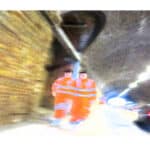 Bermondsey Street Tunnel Workers