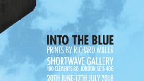 Into the Blue | Shortwave Gallery 20 June-17 July 2018